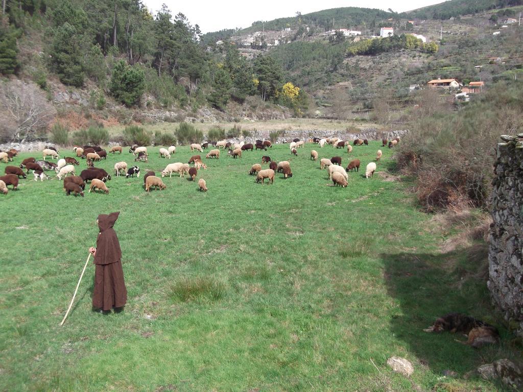 Casa Do Adro - Serra Da Estrela Cortes do Meio Εξωτερικό φωτογραφία